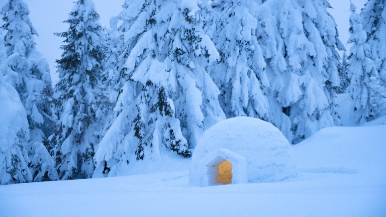 Iglu