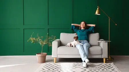 Prostor sa zelenim zidom