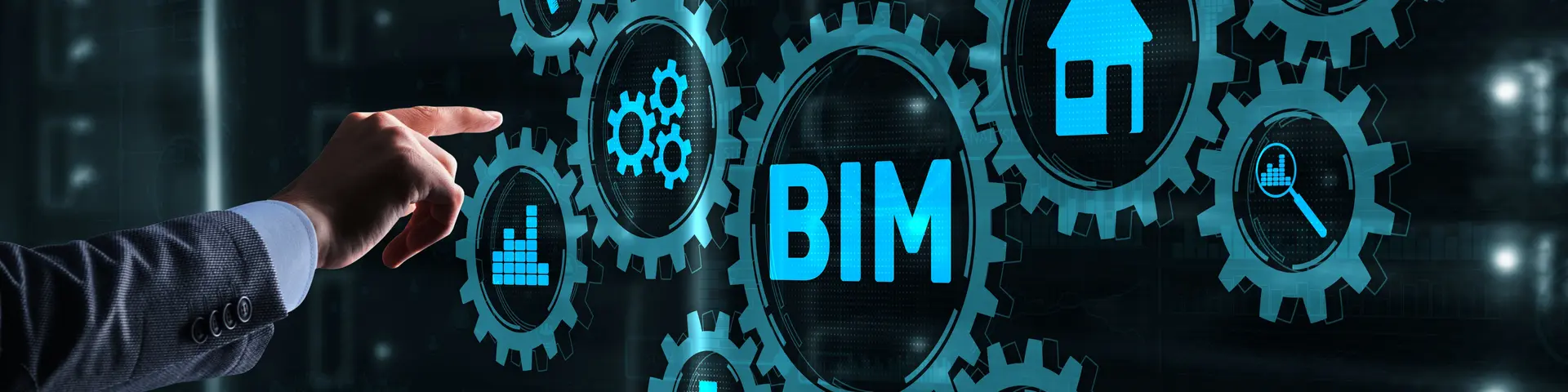 BIM