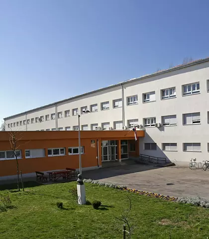 Škola Grigora Viteza
