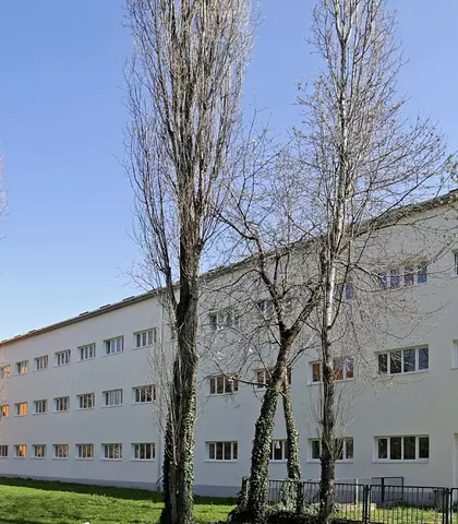 Škola Grigora Viteza
