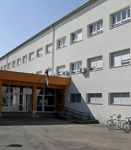 Škola Grigora Viteza