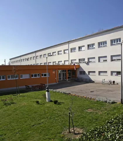 Škola Grigora Viteza