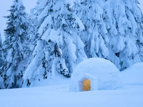weber.therm minus 7_0